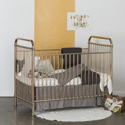 Designer Metallic Crib